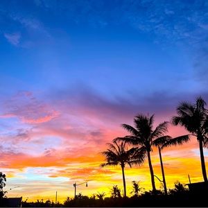 Meet your Posher, Ayuri